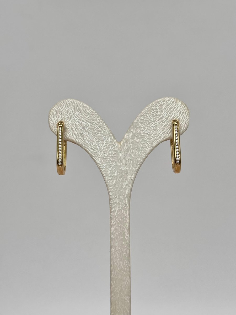 Uzun İnce Taş Detaylı Küpe