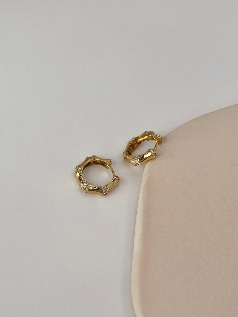 Taşlı Kemik Model Halka Küpe