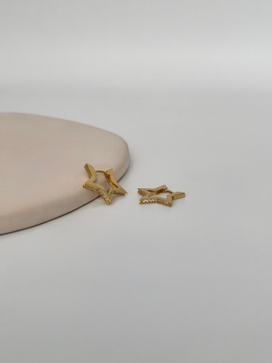 Taş Detaylı Yıldız Küpe